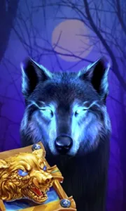Book Of The Night Wolf