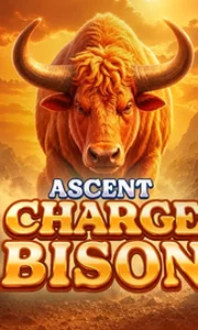 Charge Bison Ascent