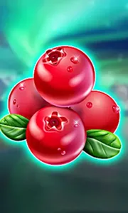 Winterberries